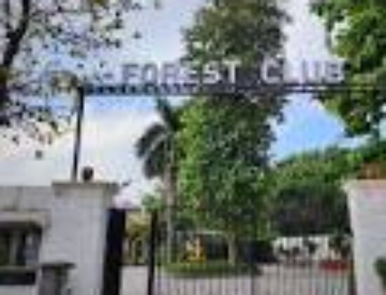 Forest Club